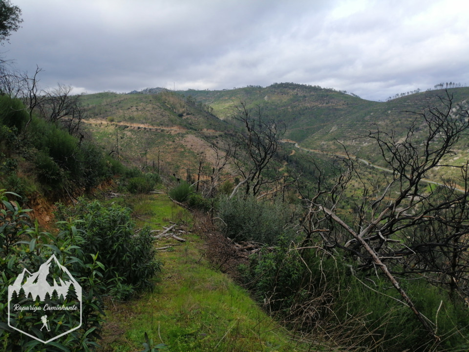 Photo_1584303335241.jpg Photo_1584303335241.jpg