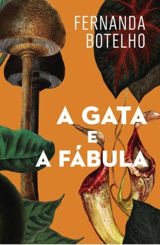 A GATA E A FÁBULA de Fernanda Botelho.jpg