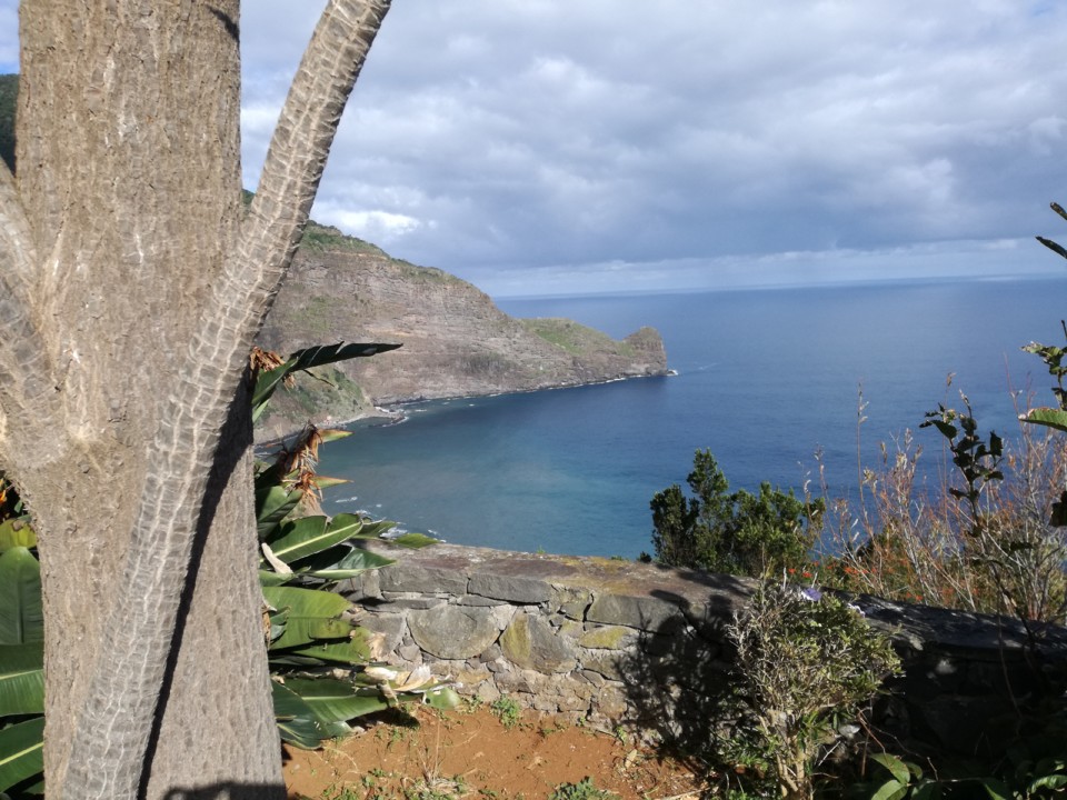 IMG_20200105_112612.jpg IMG_20200105_112612.jpg