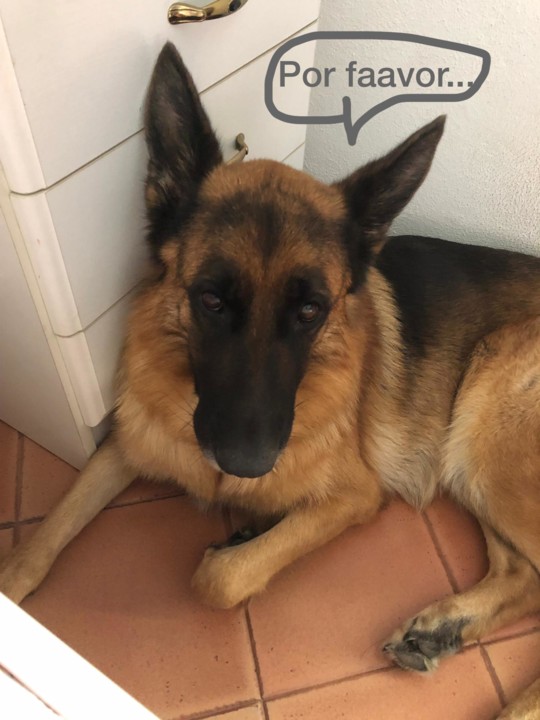 IMG-20190821-WA0003.jpg IMG-20190821-WA0003.jpg