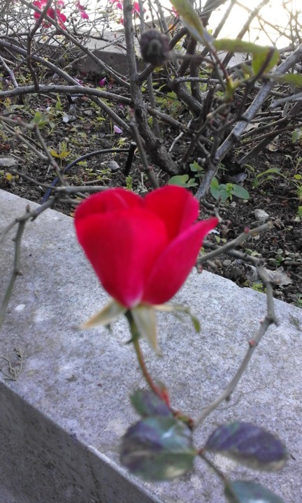 Foto Original. 2020. 01. jpg