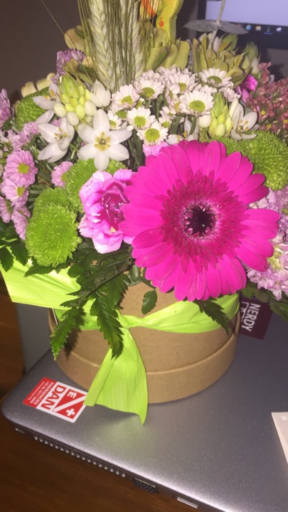 E3FC75CB-1731-46D8-91FC-B684BD02A5AA.JPG E3FC75CB-1731-46D8-91FC-B684BD02A5AA.JPG