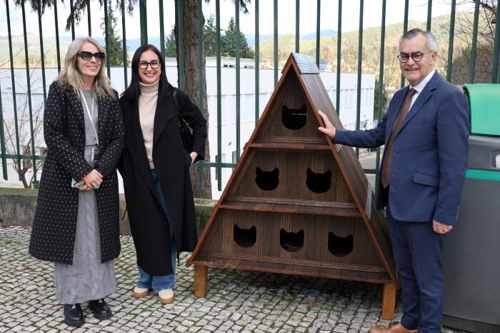 abrigos para gatos (2).JPG