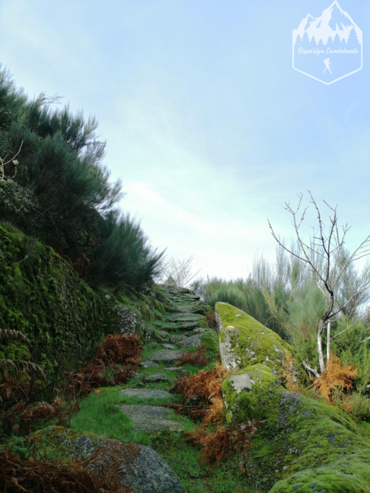 Photo_1582917699193.jpg Photo_1582917699193.jpg