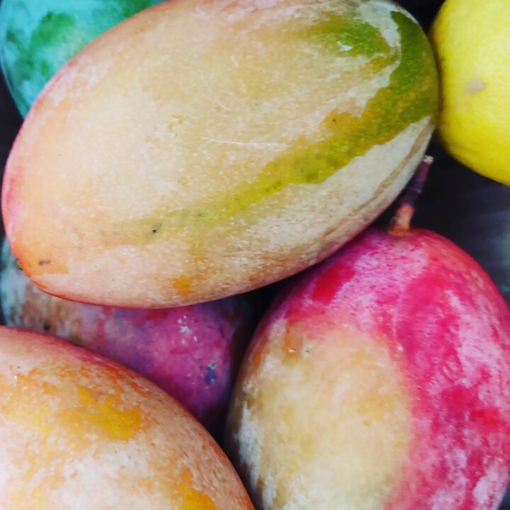 308832793_2418993441573736_5467019458795573432_n.j