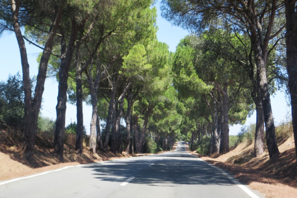 IMG_4015.JPG IMG_4015.JPG