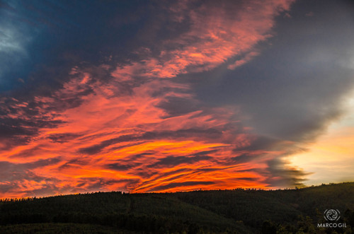 14819980531200.jpg 14819980531200.jpg