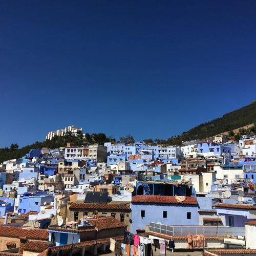 IMG_6628.JPG IMG_6628.JPG