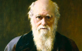 Darwin.png
