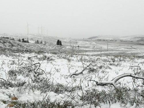 30713223_2178514888841565_5857307000479678464_n.jp 30713223_2178514888841565_5857307000479678464_n.jp