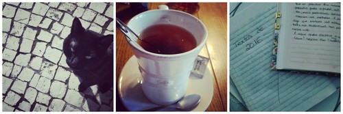 PicMonkey Collage6.jpg