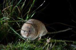 1000603.jpg 1000603.jpg