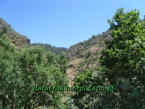 Passadicos_paiva_062.JPG Passadicos_paiva_062.JPG