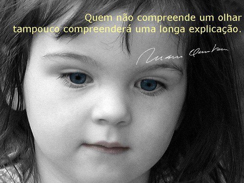 Quem não compreeende um olhar, tampouco compreenderá uma longa explicação!
