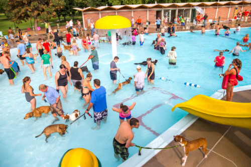 53e821268a38a.image.jpg 53e821268a38a.image.jpg