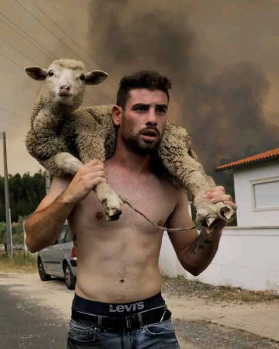 homem com ovelha ás costas.jpg