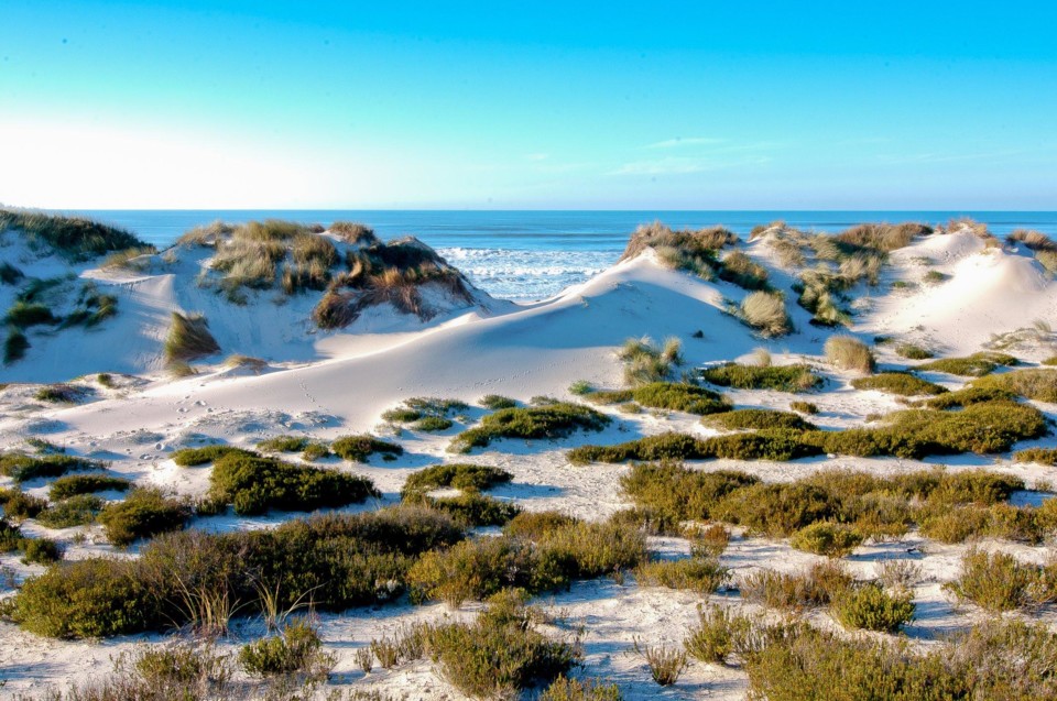 praia_osso_baleia.jpg praia_osso_baleia.jpg