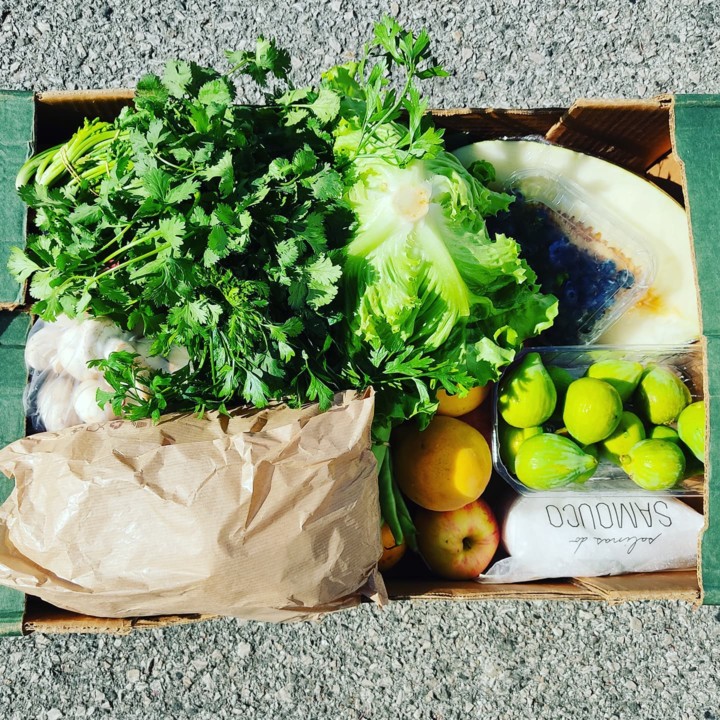 240395478_2110699099069840_1550150850054257492_n.j