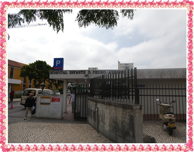 01a_AJUDARIS_H (1).JPG