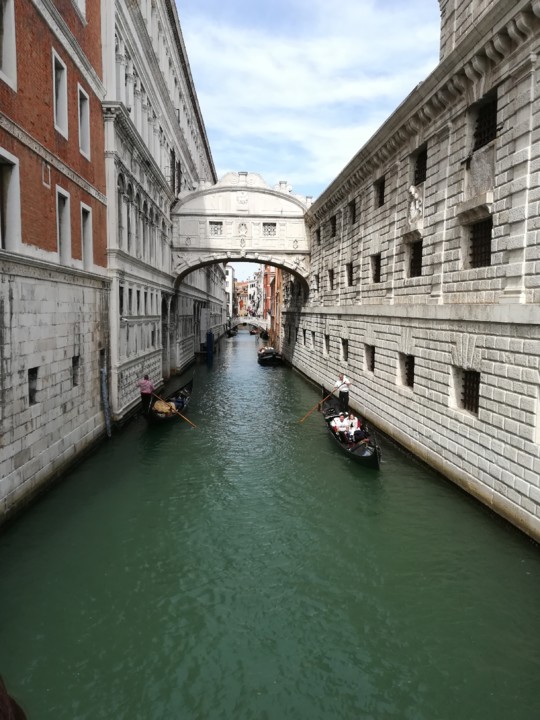 IMG_20190920_124828.jpg