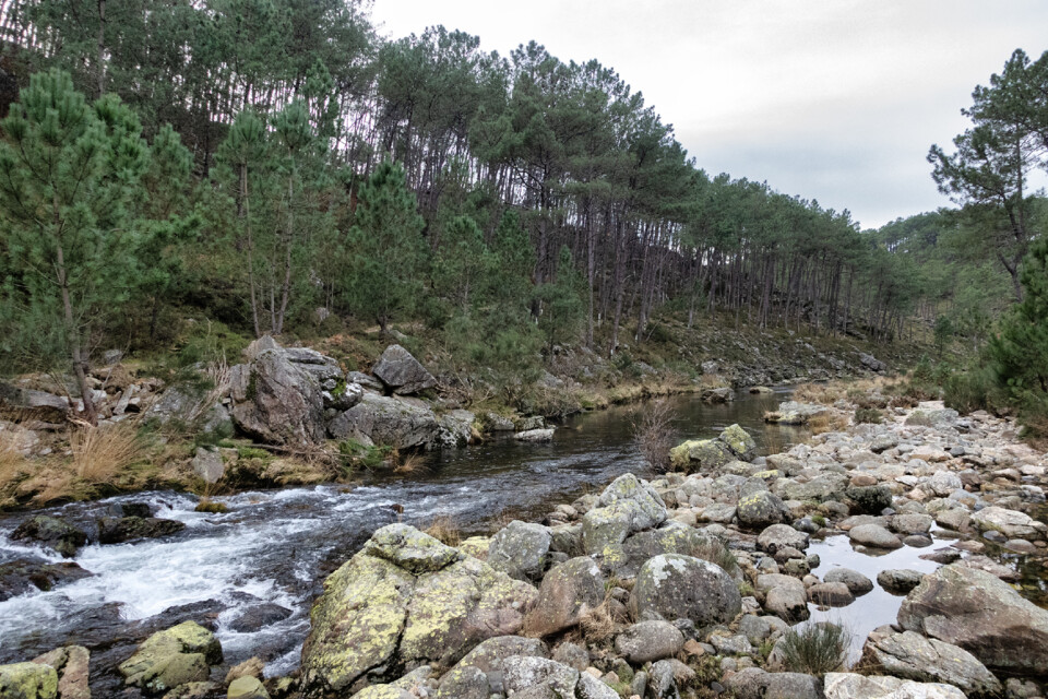 rio Olo Serra do Alvão.jpg