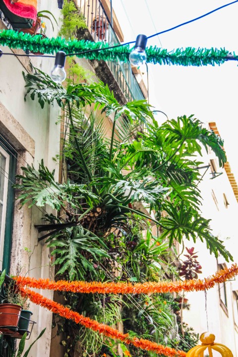 rua da silva 16.jpg rua da silva 16.jpg