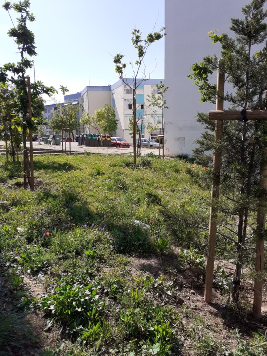 Jardim Feijó. Foto Original. 2021. 04. jpg