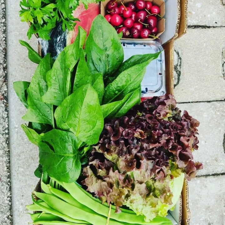 502576995_18485372623066958_2918246011646958720_n.