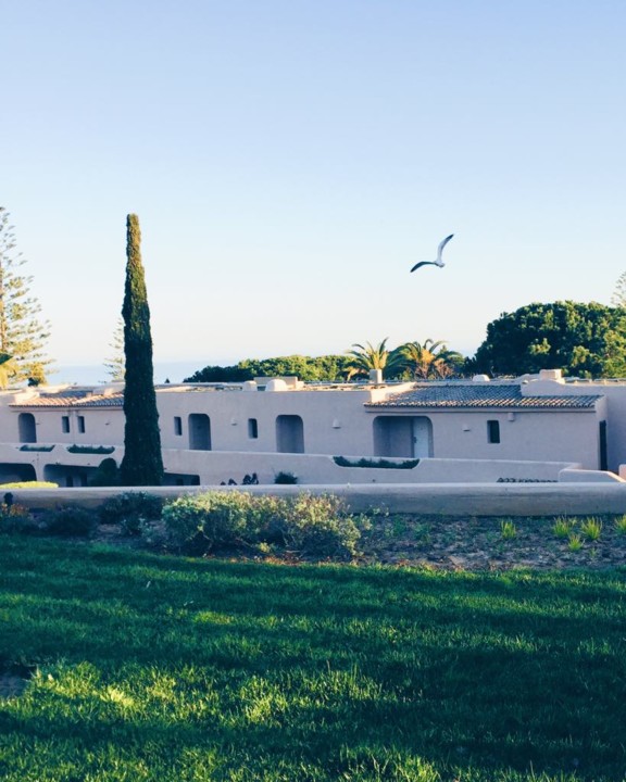 57602800_1234138296751989_5181212142304493568_n.jp