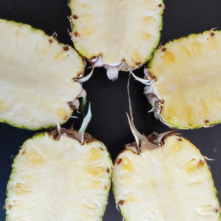 410231112_742093064614773_6948570643867481297_n.jp