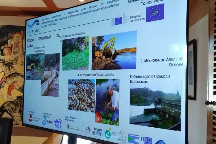 projeto Life Revive (1).jpg