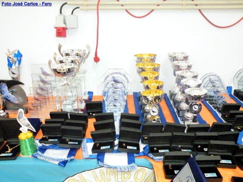 DSCF5037 - Cópia.JPG