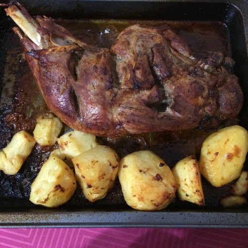 IMG_7538.JPG IMG_7538.JPG