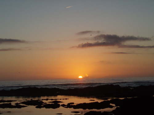 - Viana 2013.jpeg - Viana 2013.jpeg