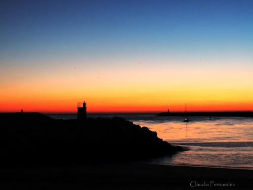 Cláudia Fernandes (1) - Cópia.jpg Cláudia Fernandes (1) - Cópia.jpg