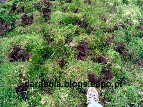 azores_corvo_caldeirao_07.JPG azores_corvo_caldeirao_07.JPG