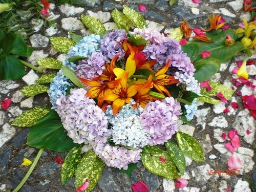 Trás-os- Montes 2017 101.jpg