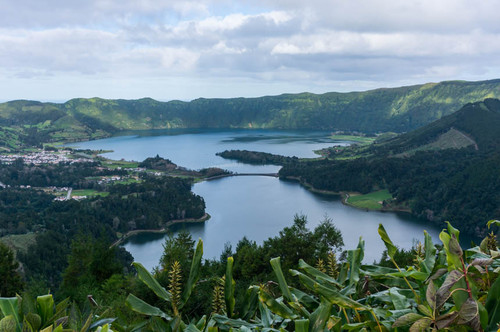 DSC09272.jpg DSC09272.jpg