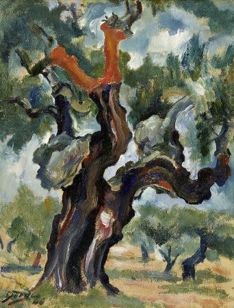 Sobreiro descortiçado In. charcofrio.blogspot.com Sobreiro descortiçado In. charcofrio.blogspot.com