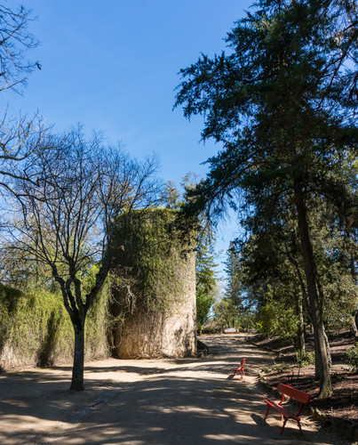 DSC00827.jpg DSC00827.jpg