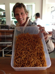 IMG_8519.JPG IMG_8519.JPG