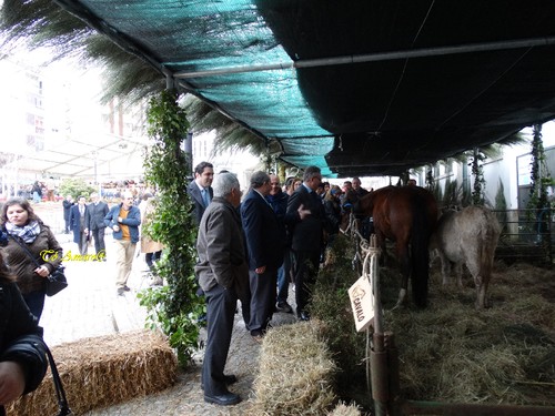 Feira do Queijo Em Seia !!! 279.jpg