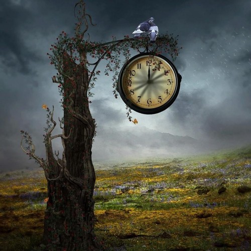 The colours of Nature (página).jpg