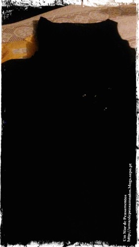 ghkjç.jpeg ghkjç.jpeg