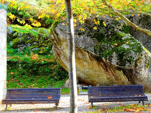 Fotos de Outono !!! 072.jpg