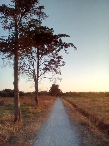 Caminhadas Foto original DAPL 2016.jpg