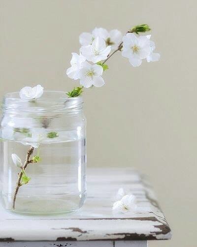 60952132_2132141593548368_2239185426017419264_n.jp