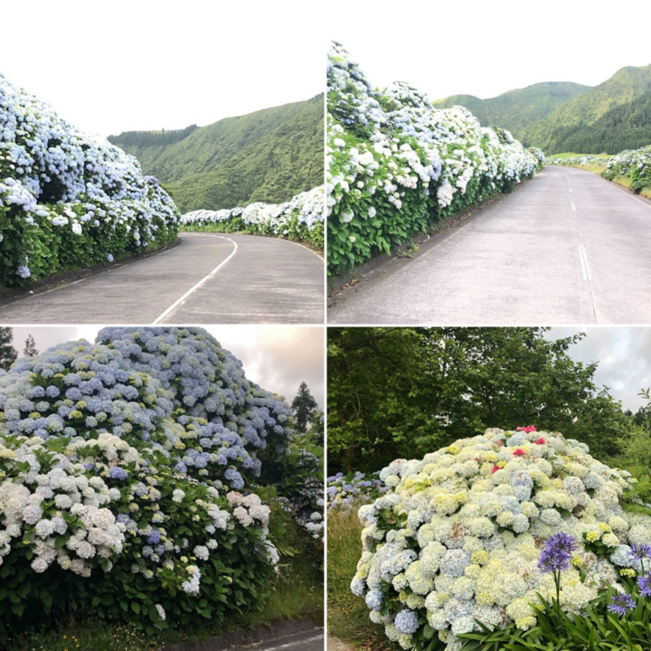 Design sem nome (5).png