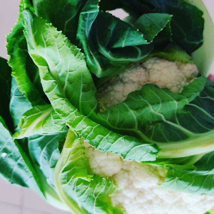 437053710_817318900425522_5362494863774621535_n.jp