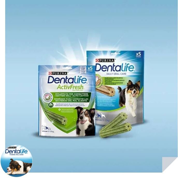 Dentalife.JPG